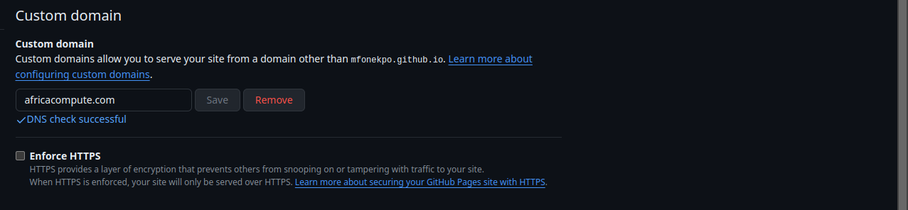 DNS check successful